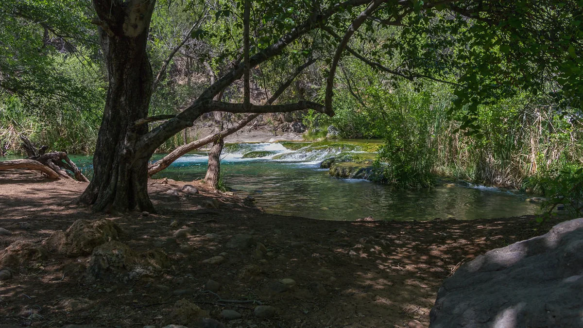 Sendero natural mantenido para visitantes, ejemplo de turismo que puede apoyar conservación y educación ambiental.